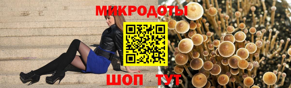 Псилоцибиновые грибы MAGIC MUSHROOMS  Вход с VPN  Псилоцибиновые грибы мухоморы  Волоколамск 